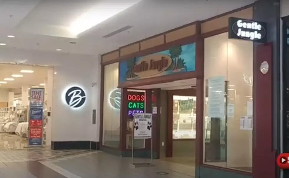 Neighborhood pet shop that has been a local landmark for decades