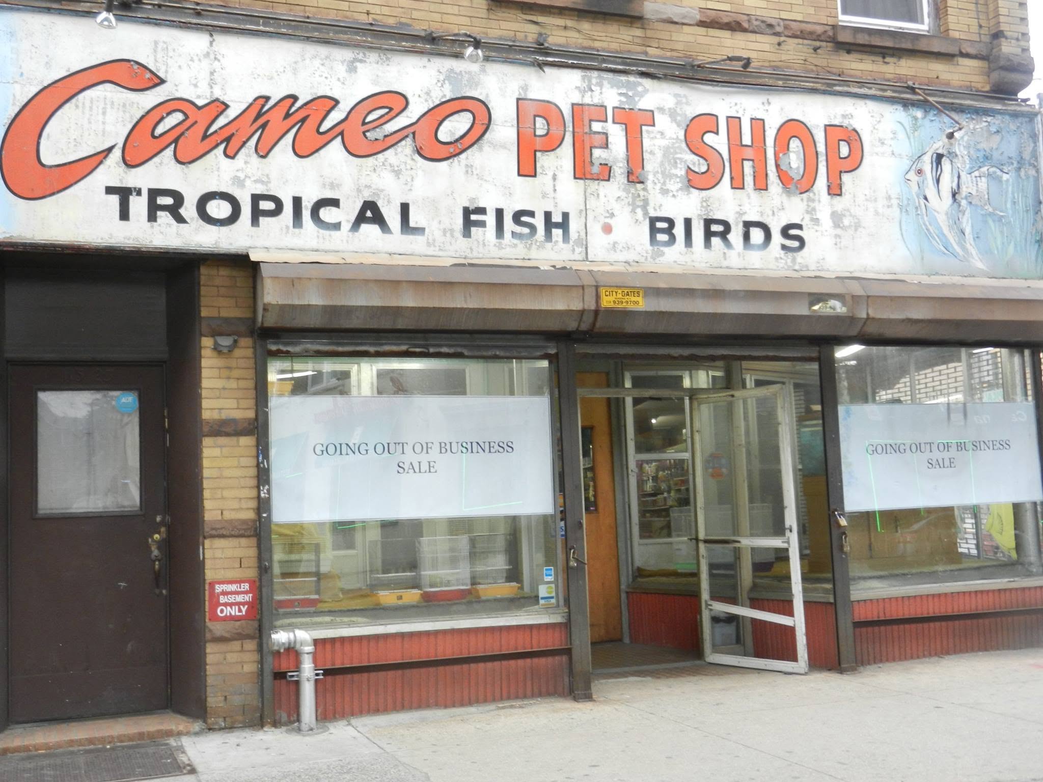 Fur-Ever Goods shop covered in closing sale signs
