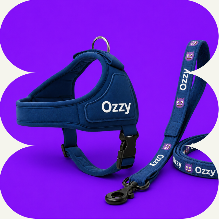 Custom Ozzy-branded dog harness and leash inside a purple shape